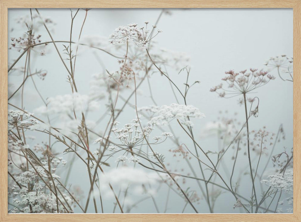 Summer Moments 12 | Poster