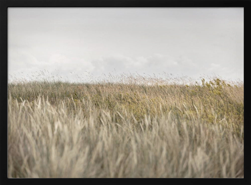 Duinen en Wolken 2 | Poster
