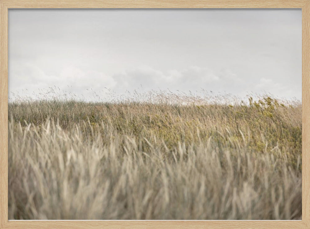 Duinen en Wolken 2 | Poster
