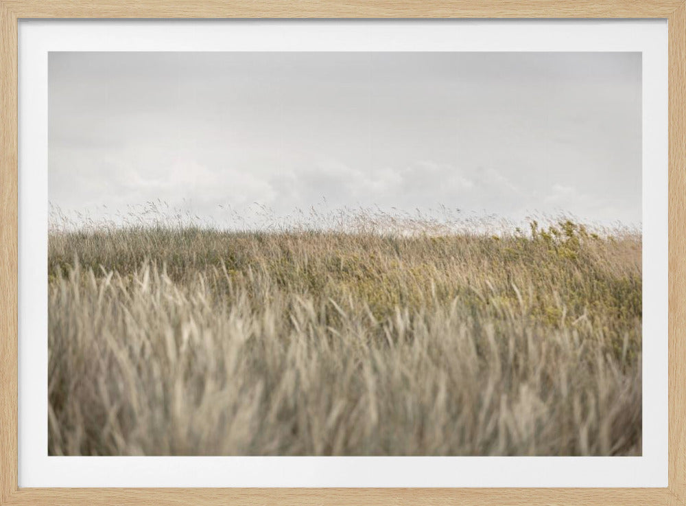 Duinen en Wolken 2 | Poster