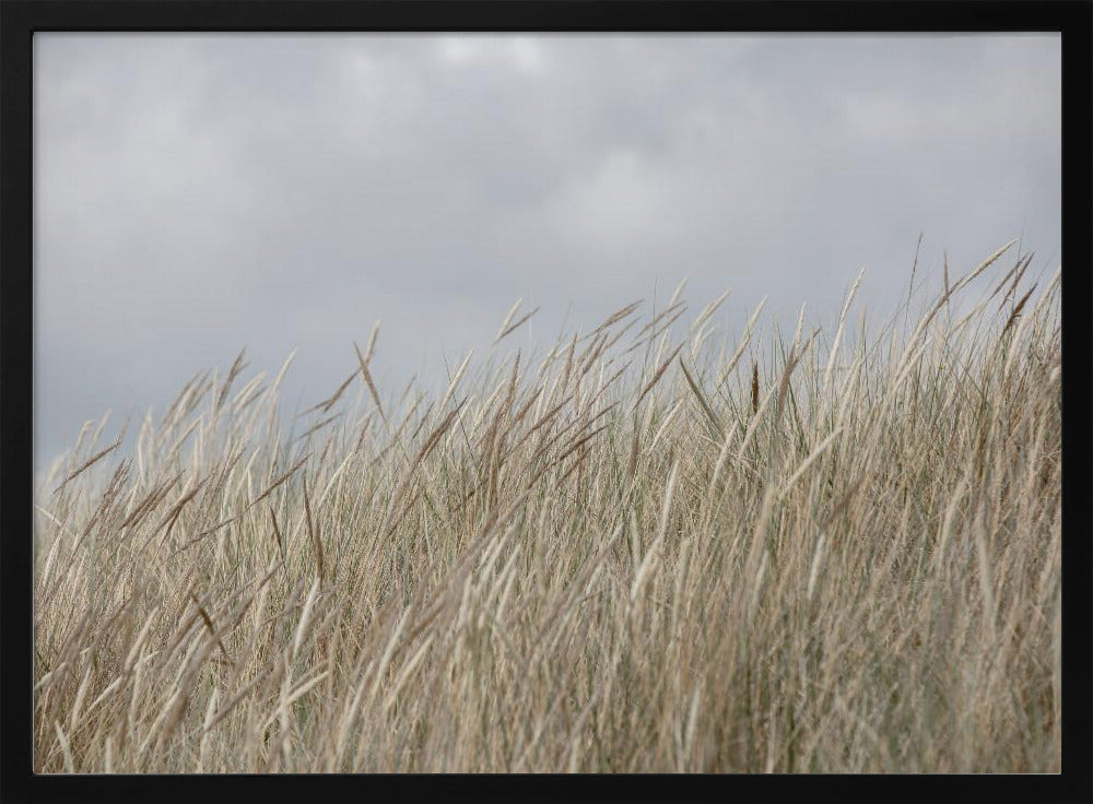 Duinen en wolken | Poster