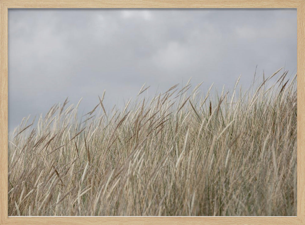 Duinen en wolken | Poster