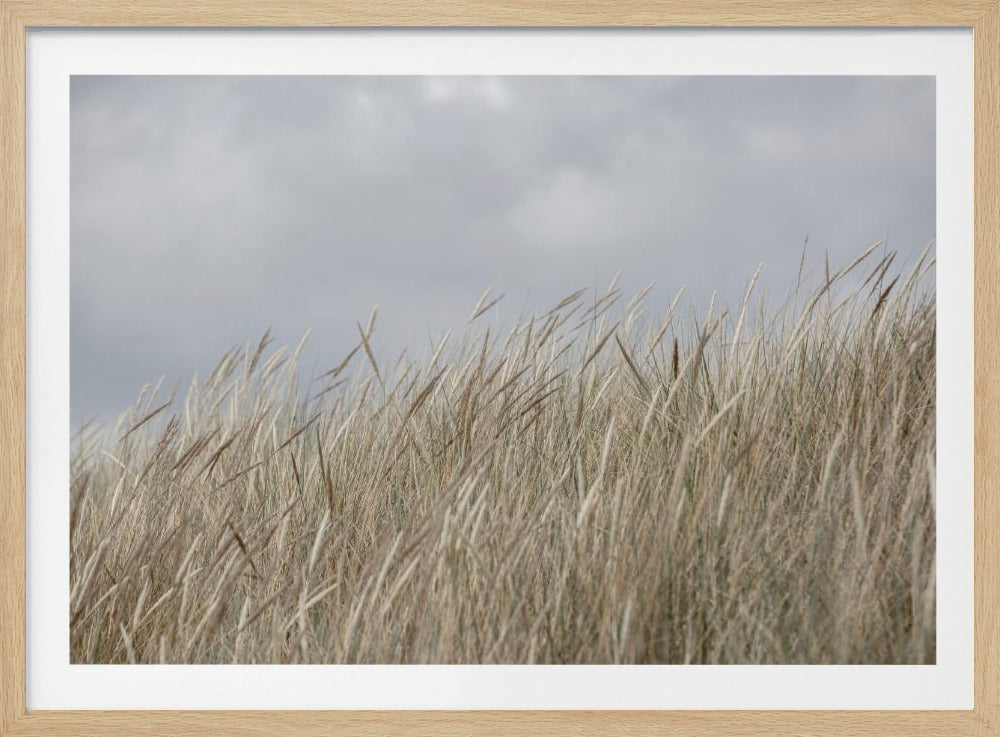 Duinen en wolken | Poster