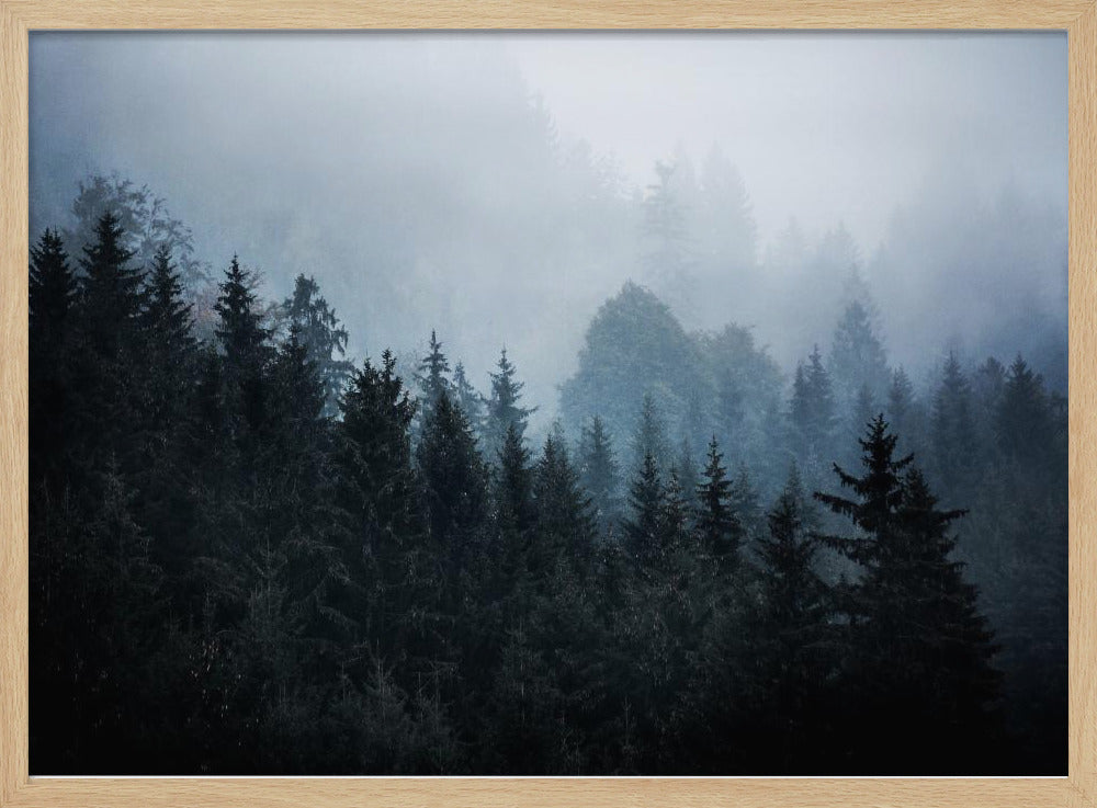 Mistige bossen 5 | Poster