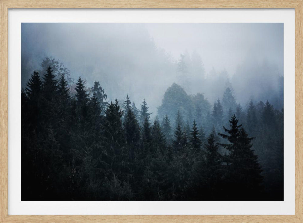 Mistige bossen 5 | Poster