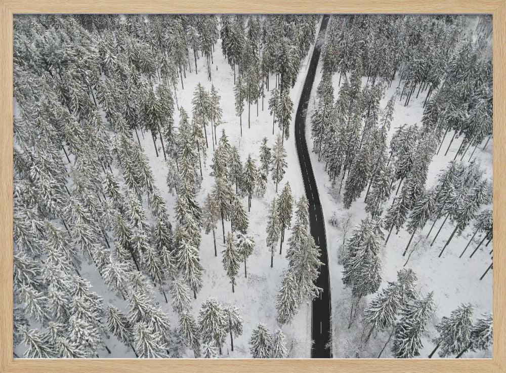 Besneeuwde bomen 5 | Poster