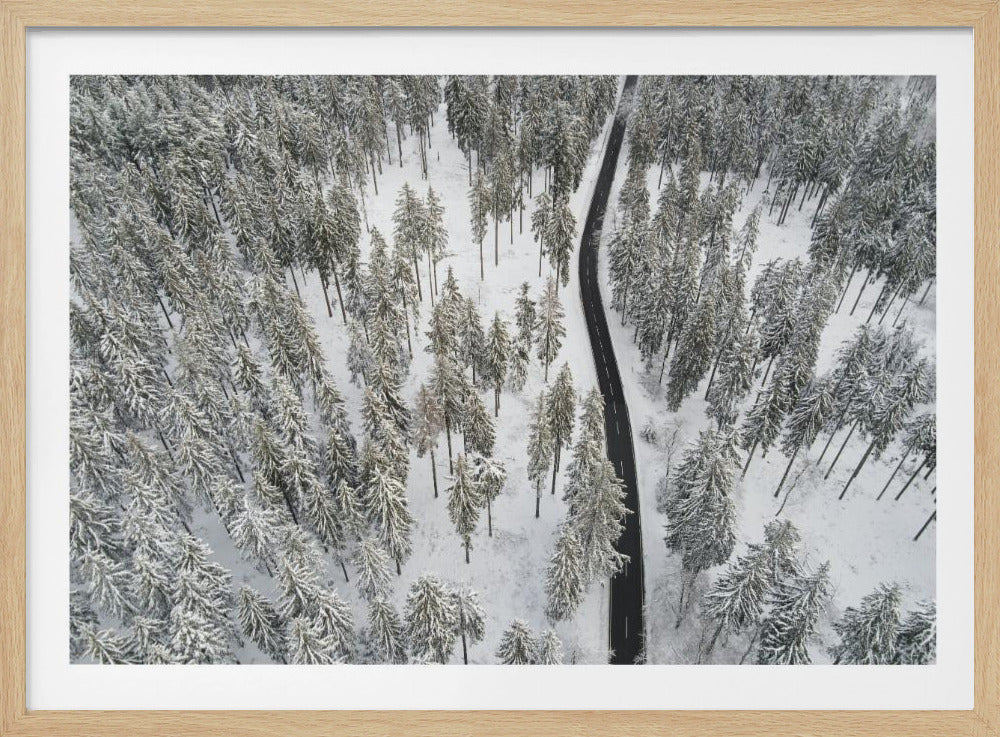 Besneeuwde bomen 5 | Poster