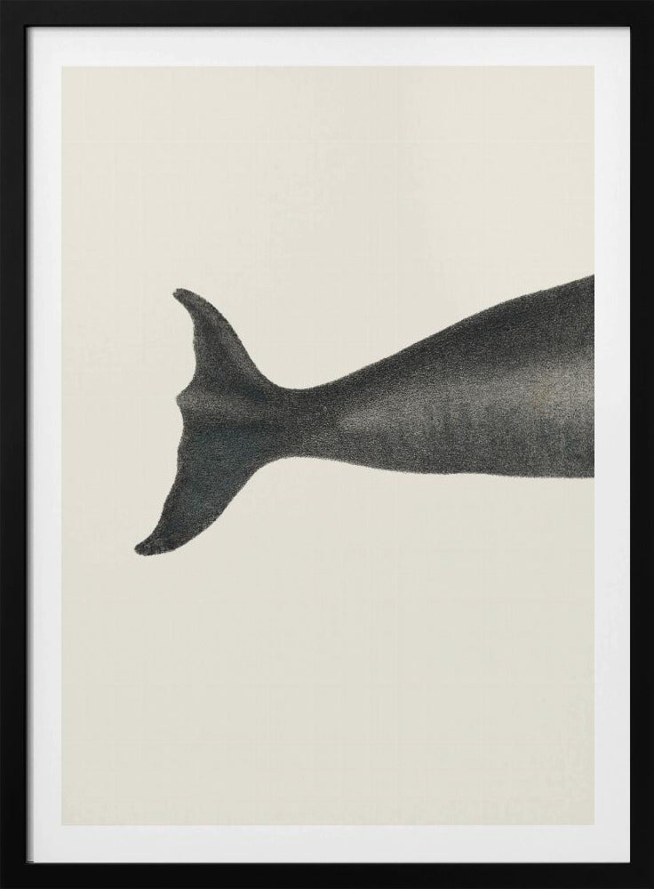 Whale Tight Crop I Handcolored Sealife Lithograph 1824 | Poster