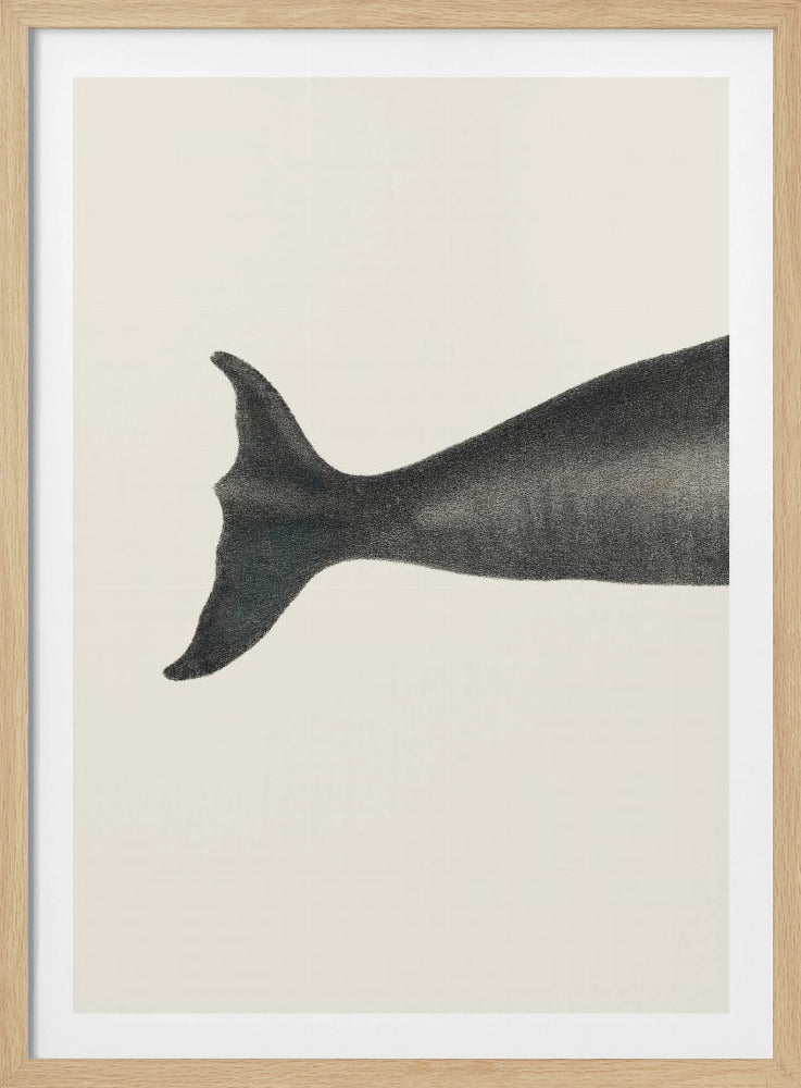 Whale Tight Crop I Handcolored Sealife Lithograph 1824 | Poster