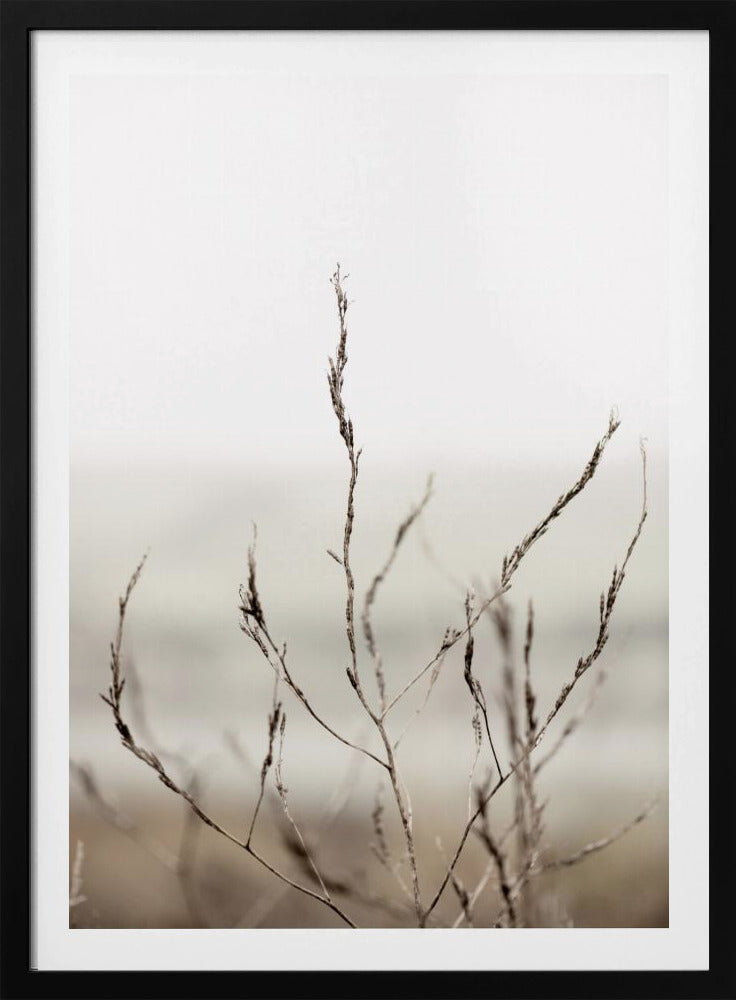 Pickleweed No.1 | Poster