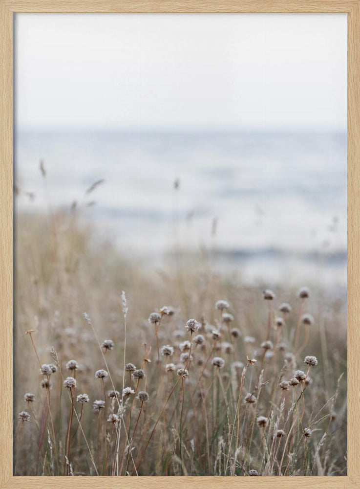 Kustlandschappen 4 | Poster