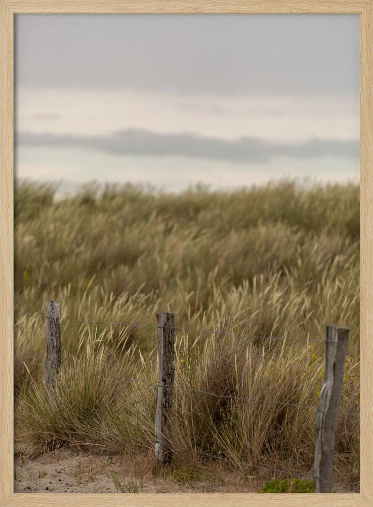 Kustlandschappen 1 | Poster