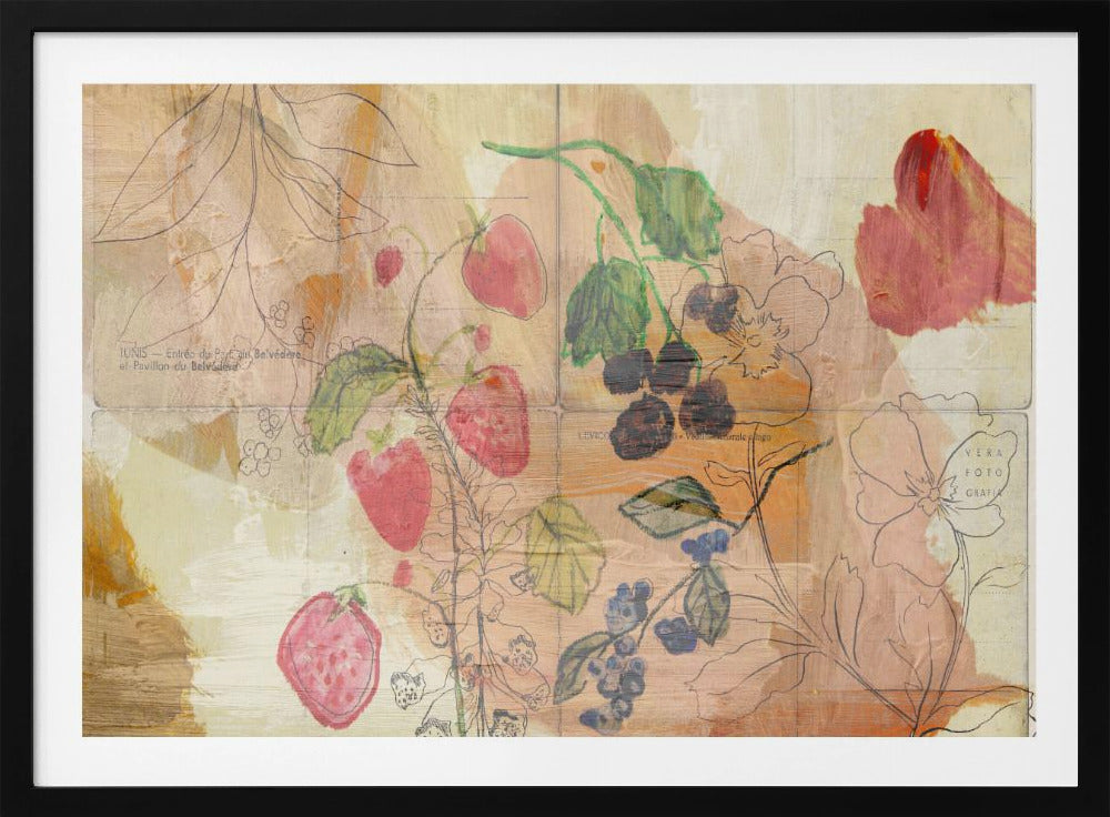 Fruit ansichtkaarten | Poster