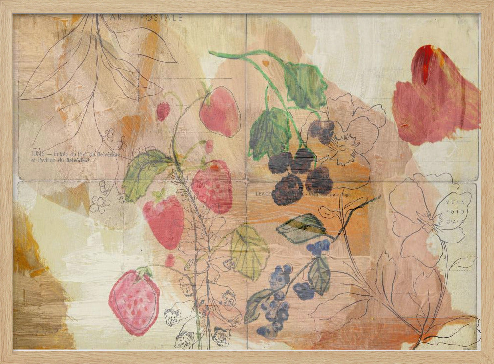 Fruit ansichtkaarten | Poster