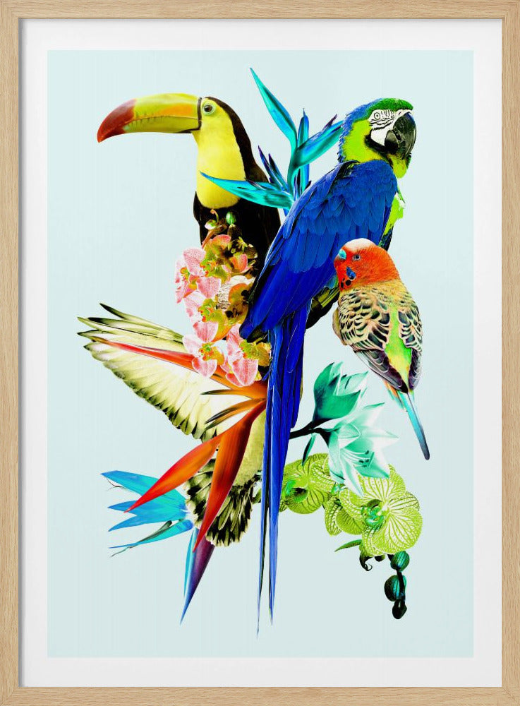 Paradijsvogels II | Poster