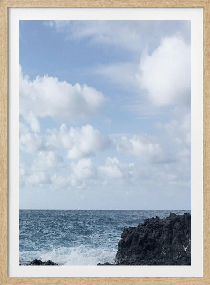 Kustleven II | Poster