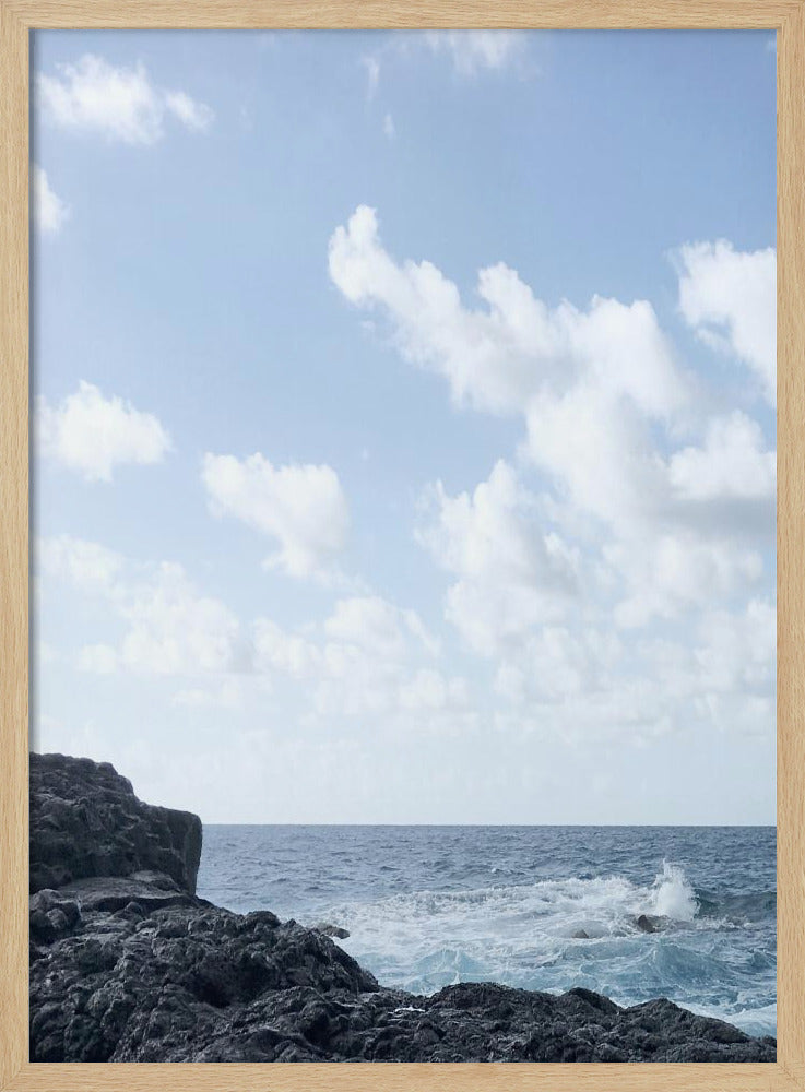 Kustleven I | Poster