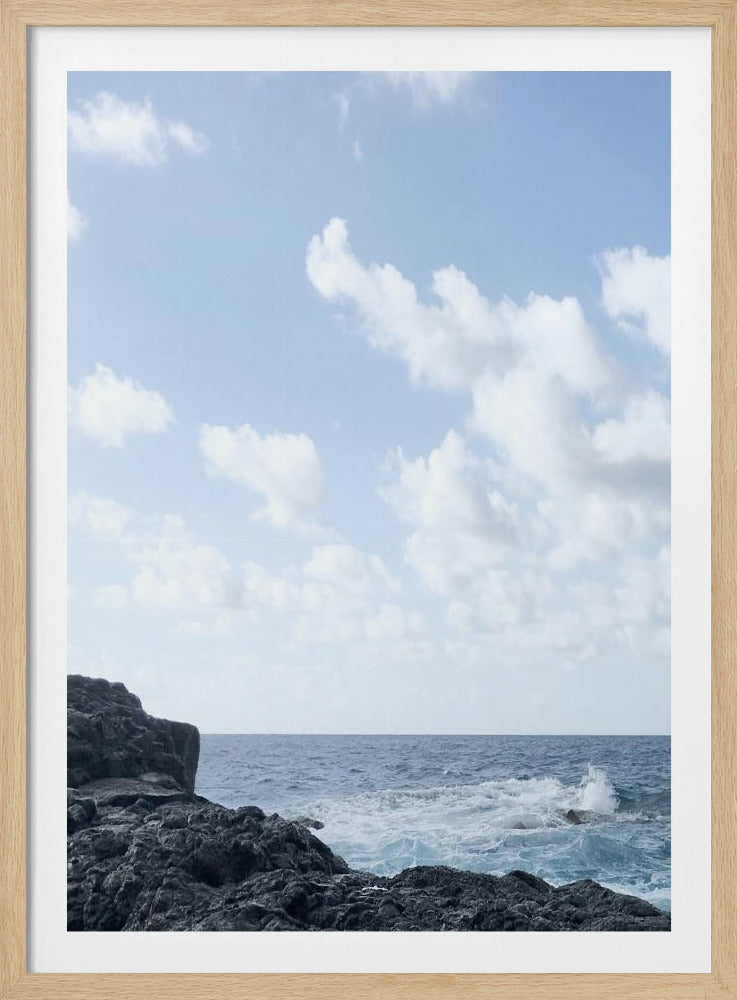 Kustleven I | Poster