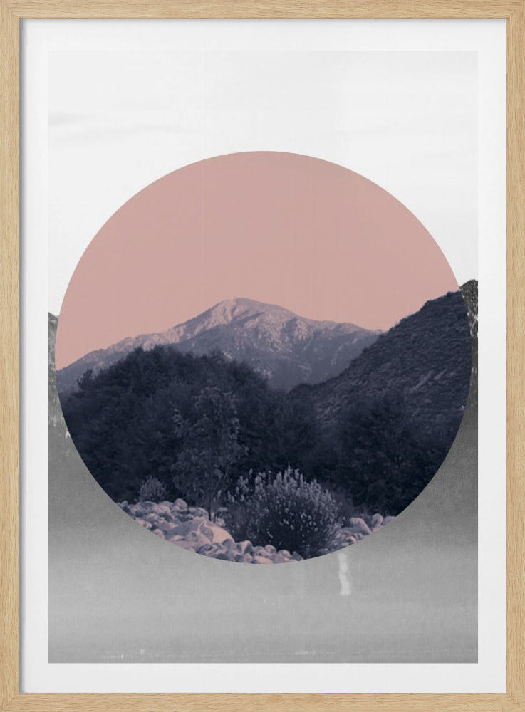 Vormen in de natuur II | Poster