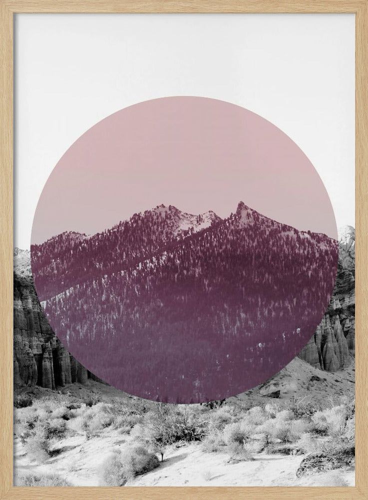 Vormen in de natuur I | Poster