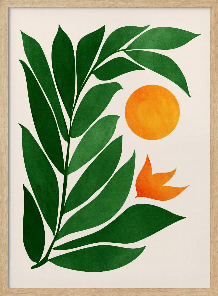 Zonsondergang in tropisch bos | Poster