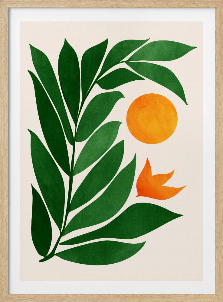 Zonsondergang in tropisch bos | Poster