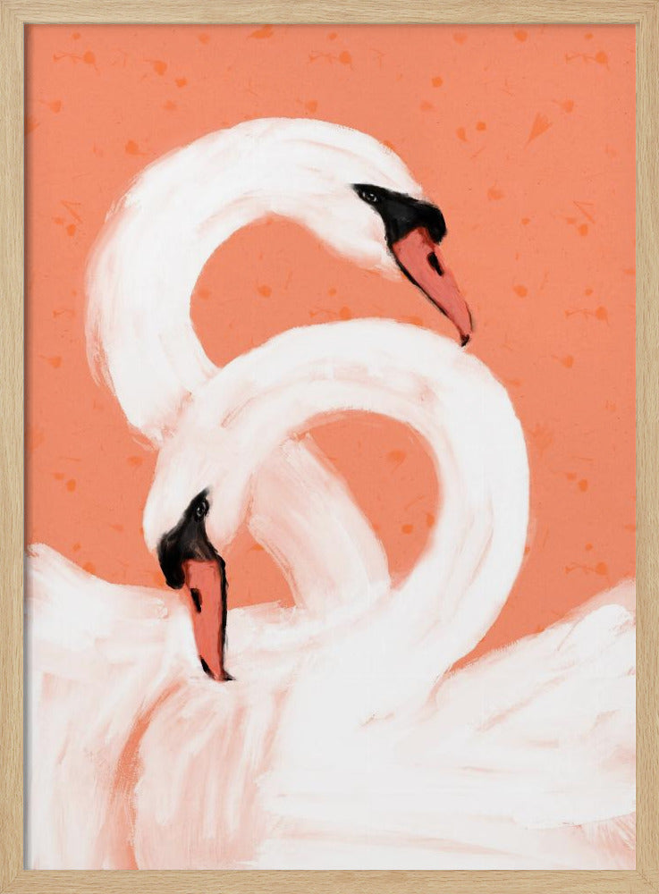Sierlijke zwanen | Poster