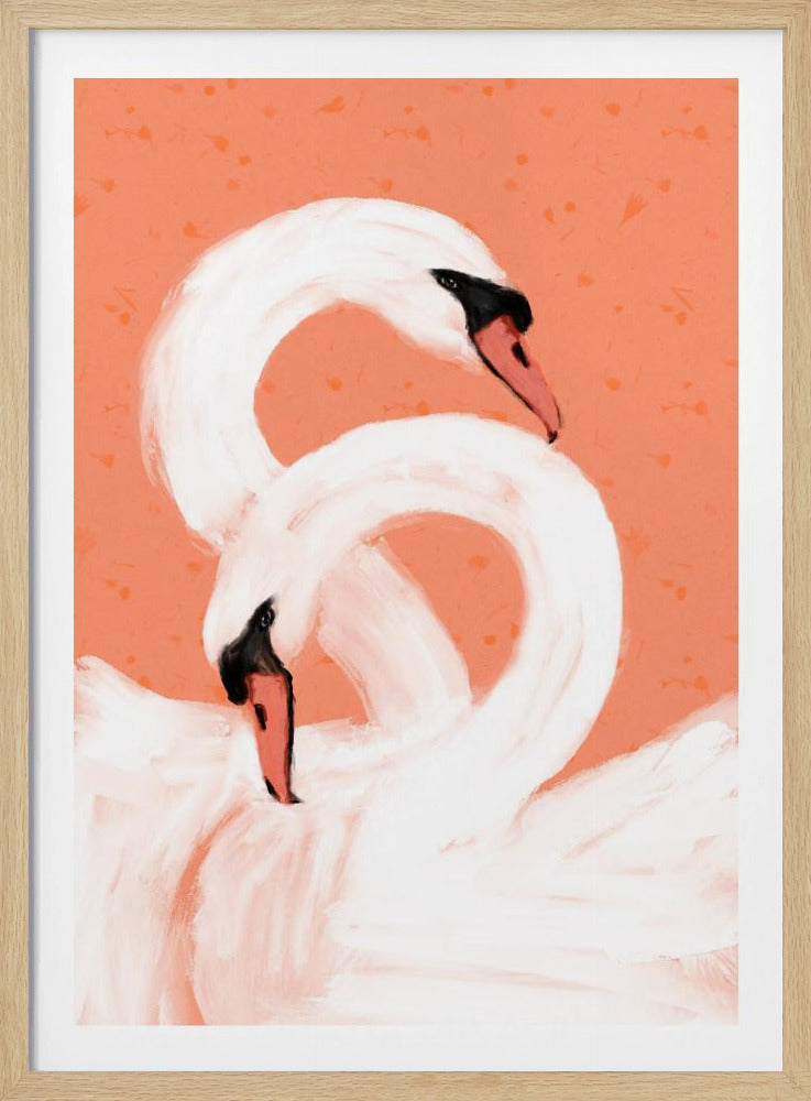 Sierlijke zwanen | Poster