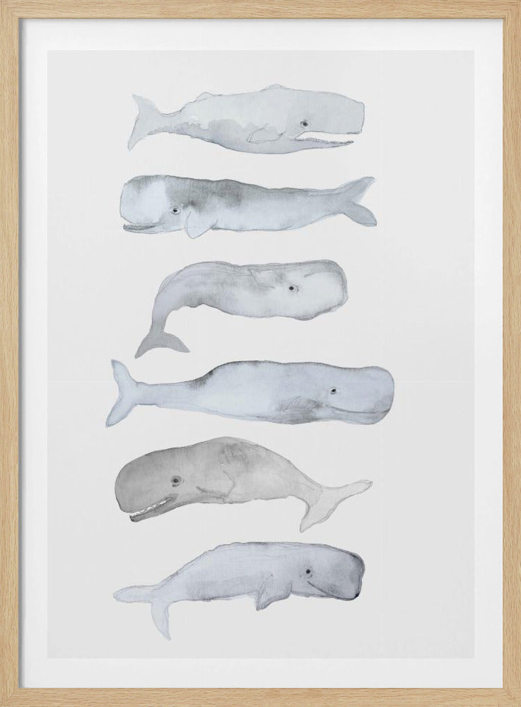 Walviskunst | Poster