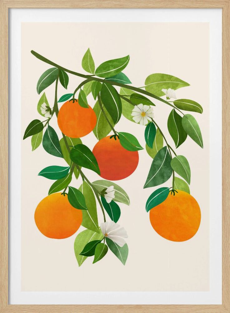 Sinaasappels en bloesems II | Poster