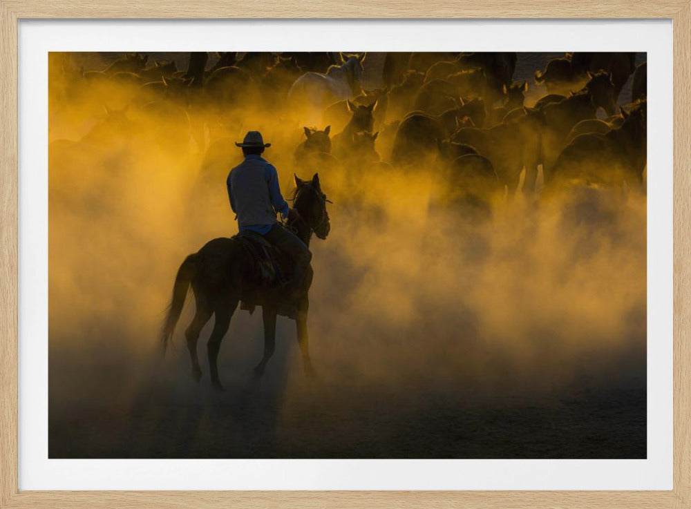 cowboy en paarden | Poster