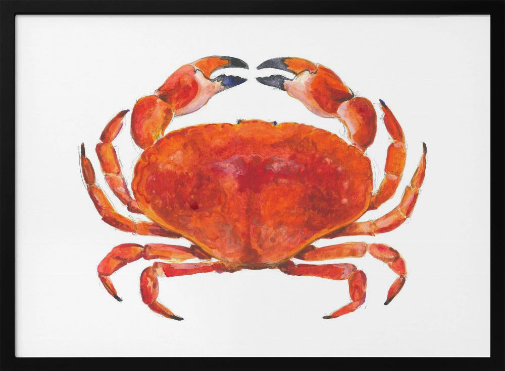 Realistische rode krab | Poster