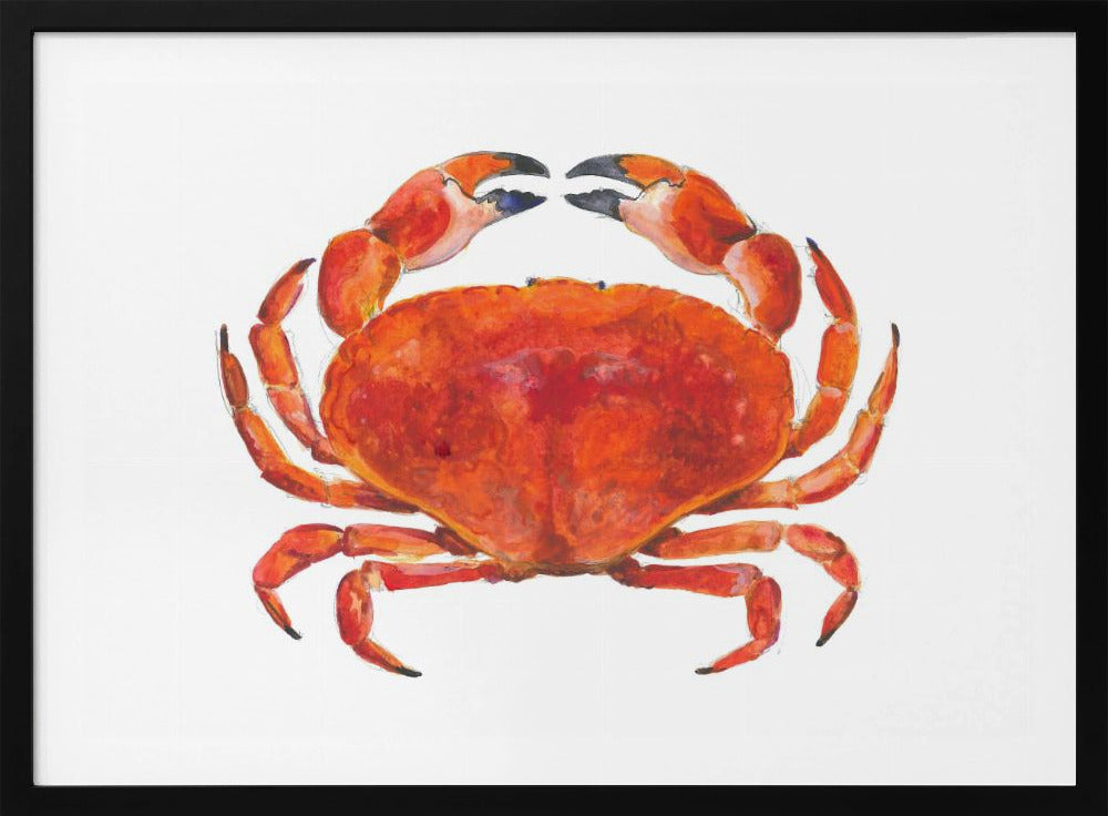 Realistische rode krab | Poster