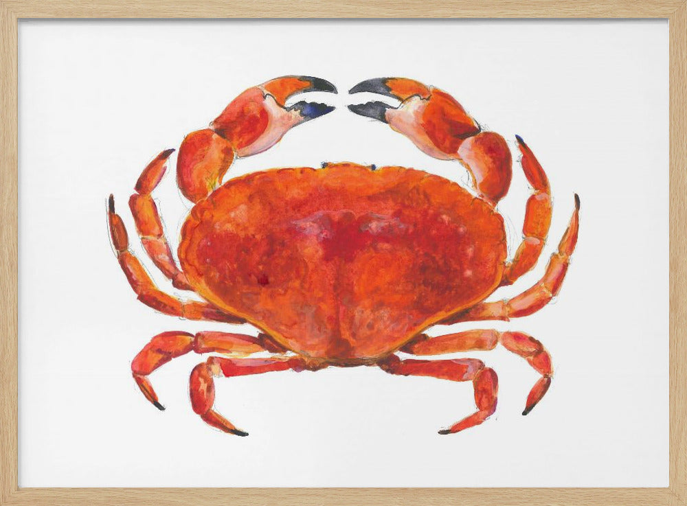 Realistische rode krab | Poster
