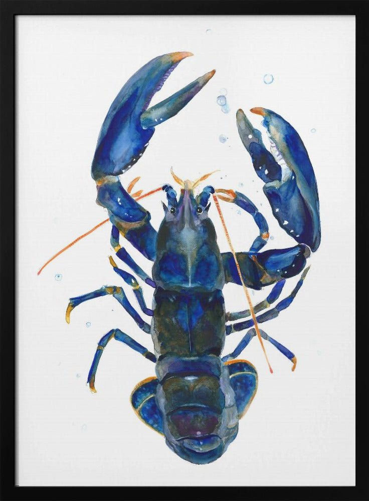 Een blauwe kreeft | Poster