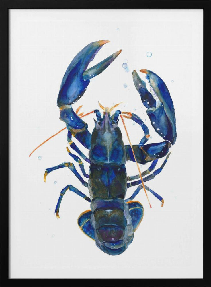 Een blauwe kreeft | Poster