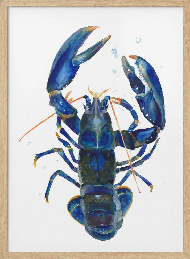Een blauwe kreeft | Poster