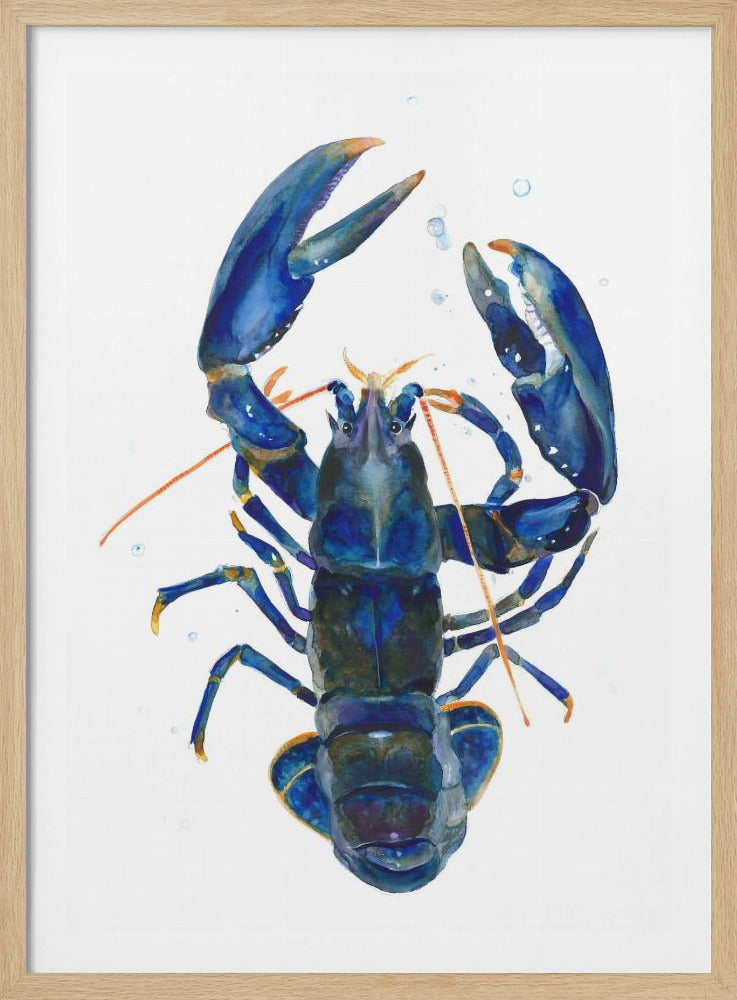 Een blauwe kreeft | Poster