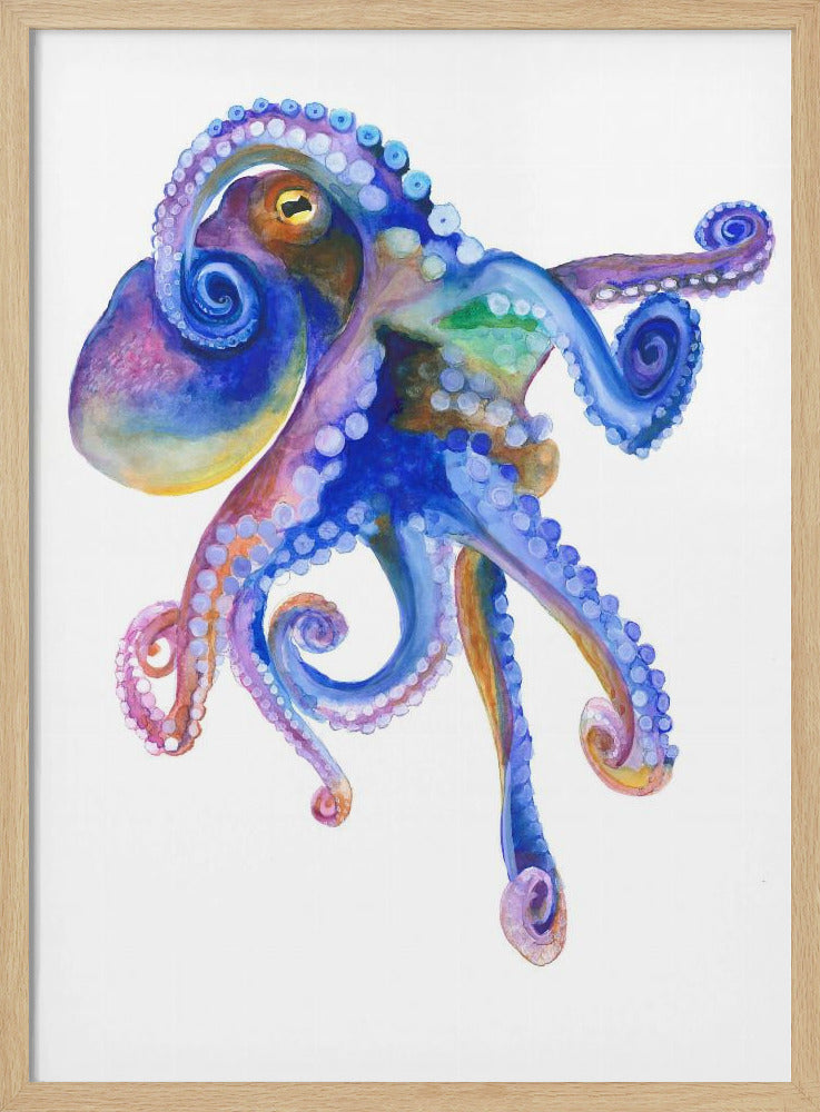 Blauwe zee-octopus | Poster