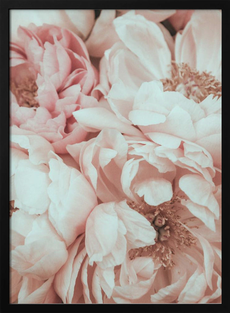 Blossom Mix | Poster