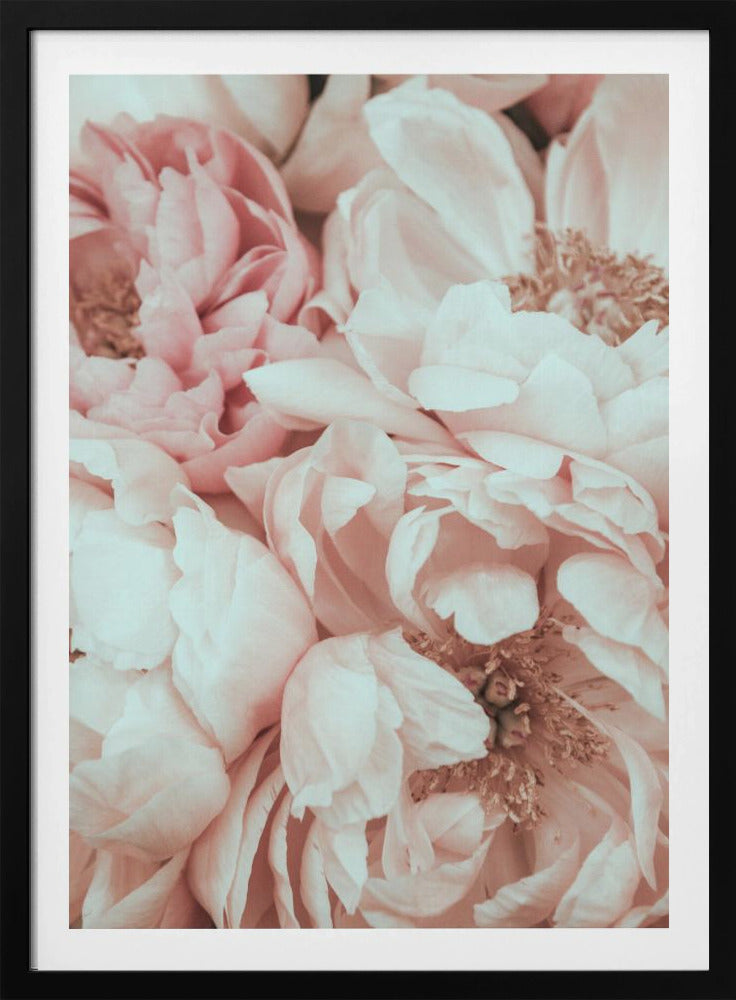 Blossom Mix | Poster