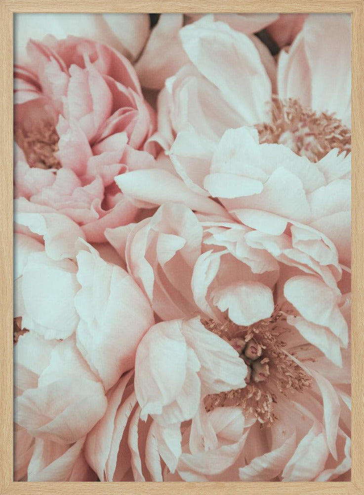 Blossom Mix | Poster