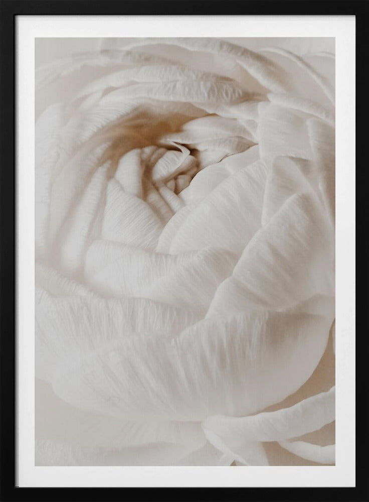 Buttercup | Poster