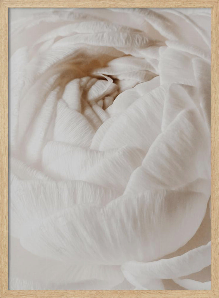 Buttercup | Poster