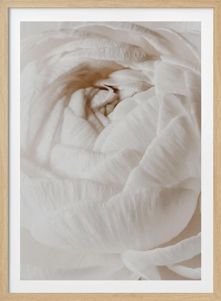 Buttercup | Poster