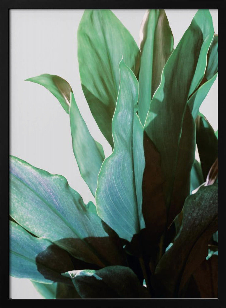 Groene bladeren | Poster