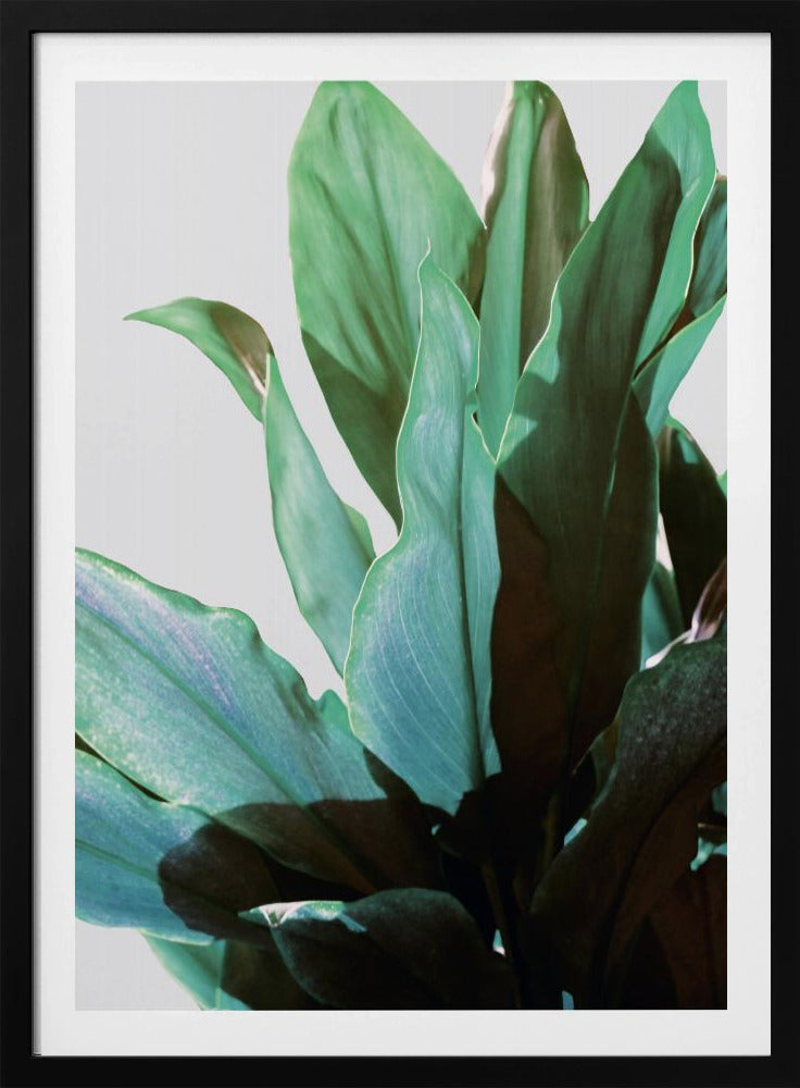 Groene bladeren | Poster