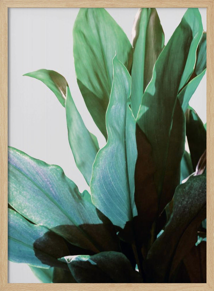Groene bladeren | Poster