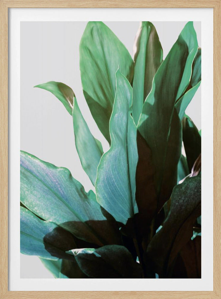 Groene bladeren | Poster