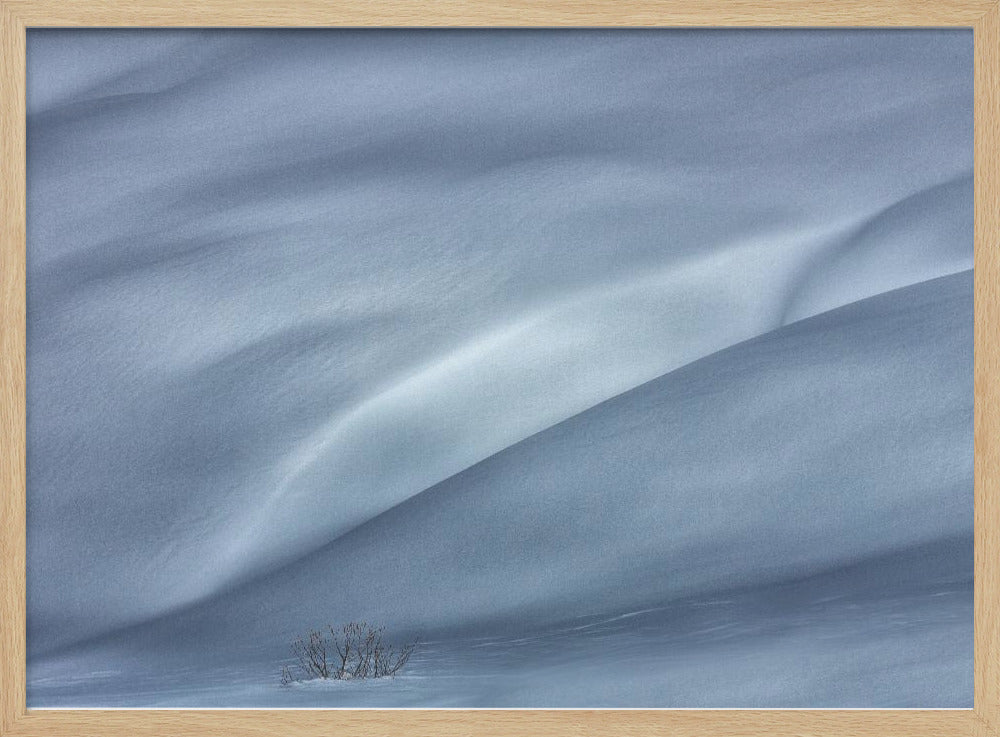 pistes in de winter | Poster